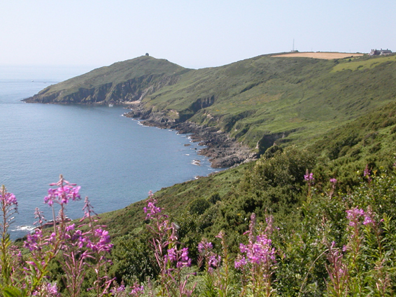 Rame Head
