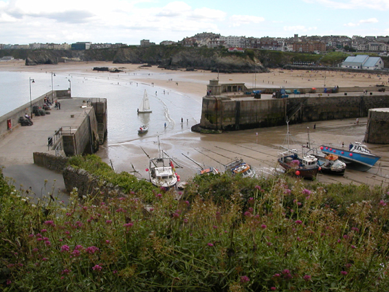 Newquay Harbour